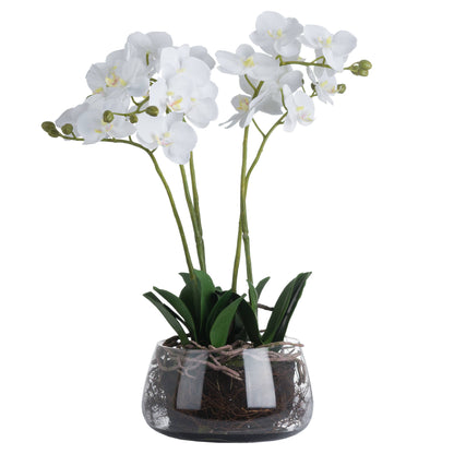 Faux White Orchid In Glass Pot