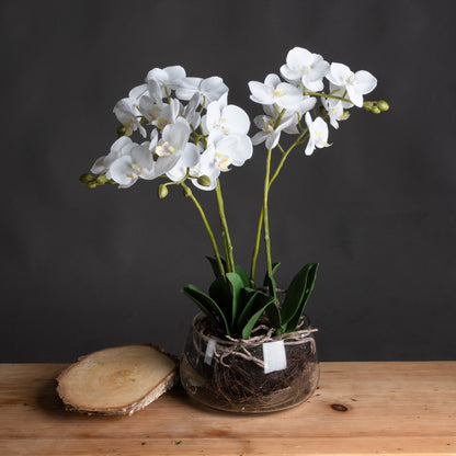 Faux White Orchid In Glass Pot