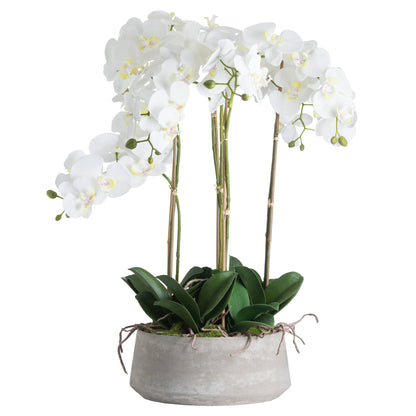 Faux Large White Orchid In Stone Pot