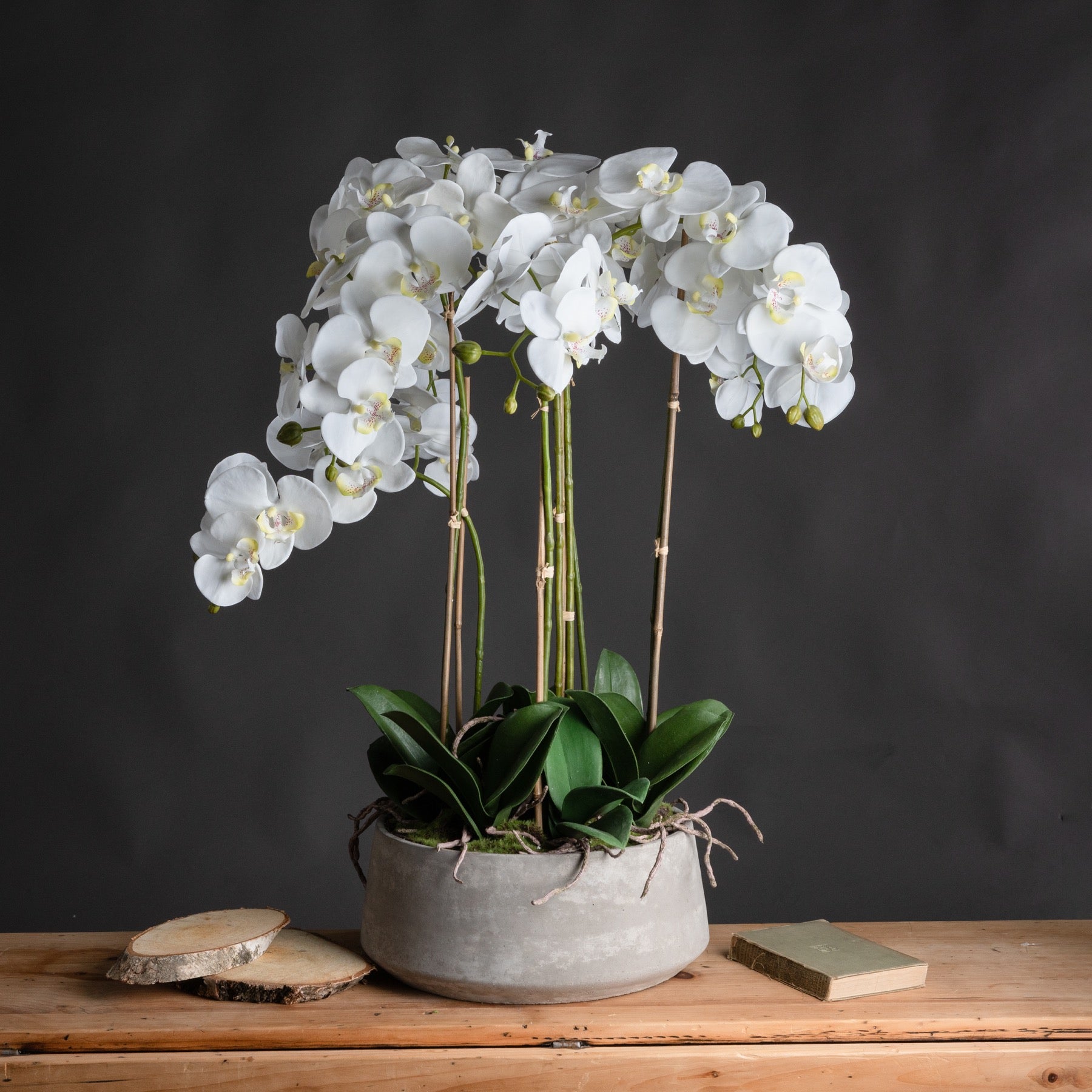 Faux Large White Orchid In Stone Pot