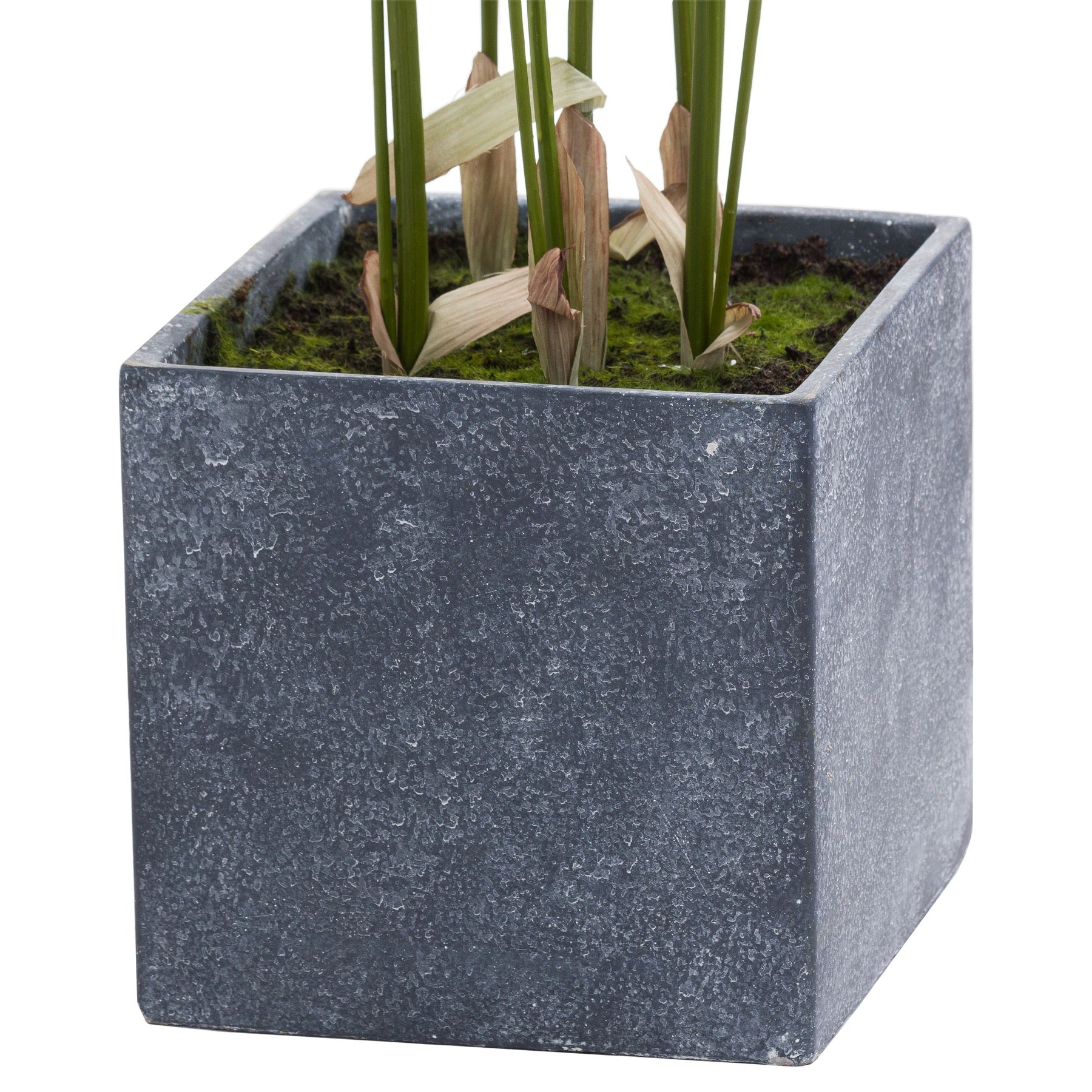Faux Large Paradise Potted Palm