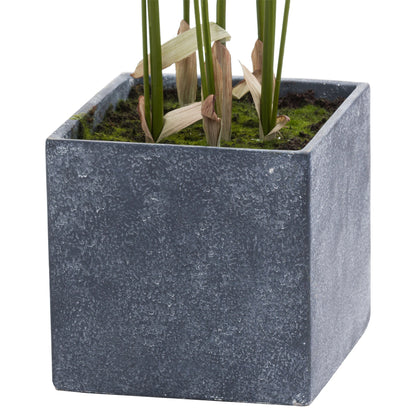 Faux Large Paradise Potted Palm