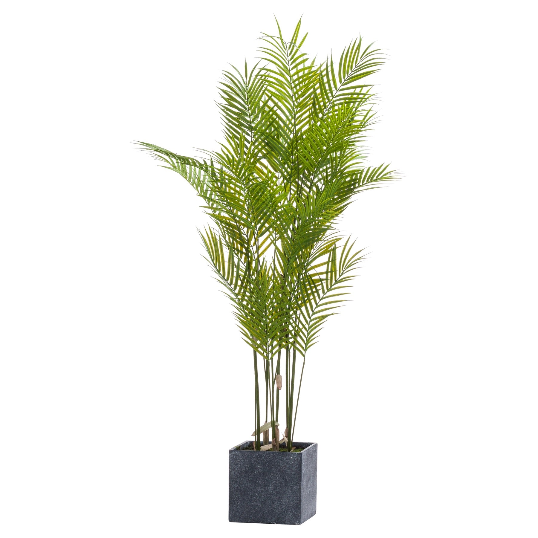 Faux Large Paradise Potted Palm