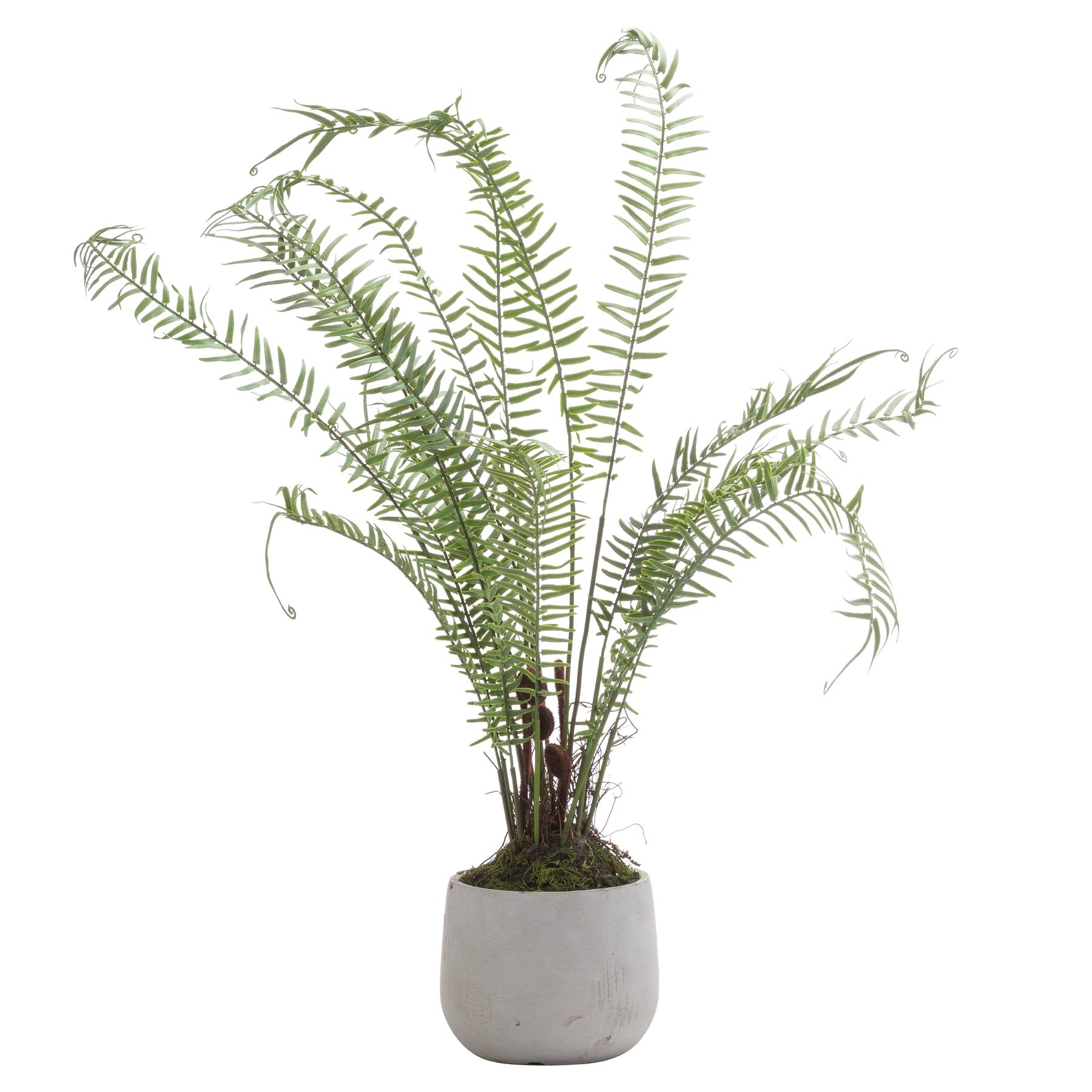 Faux Boston Large Potted Fern