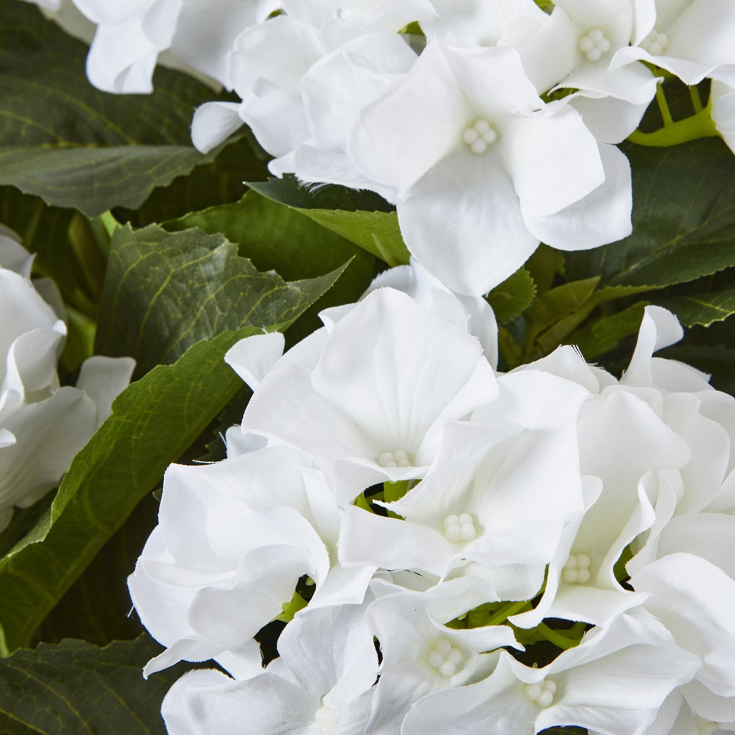 Faux Large White Hydrangea Plant In Pot