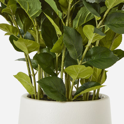 Faux Large White Hydrangea Plant In Pot