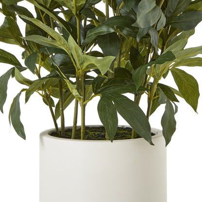 Faux Large White Peony Plant In Pot