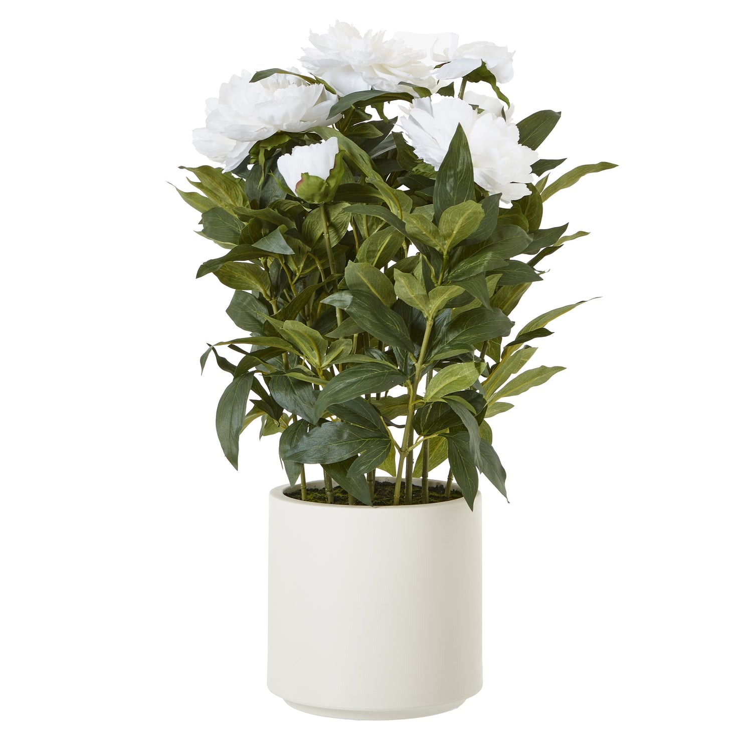 Faux Large White Peony Plant In Pot