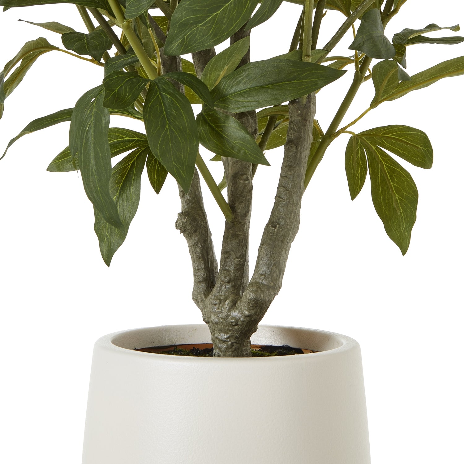 Faux Extra Large White Peony Bush In Pot
