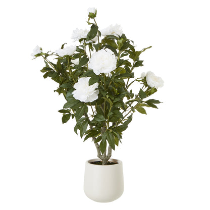Faux Extra Large White Peony Bush In Pot