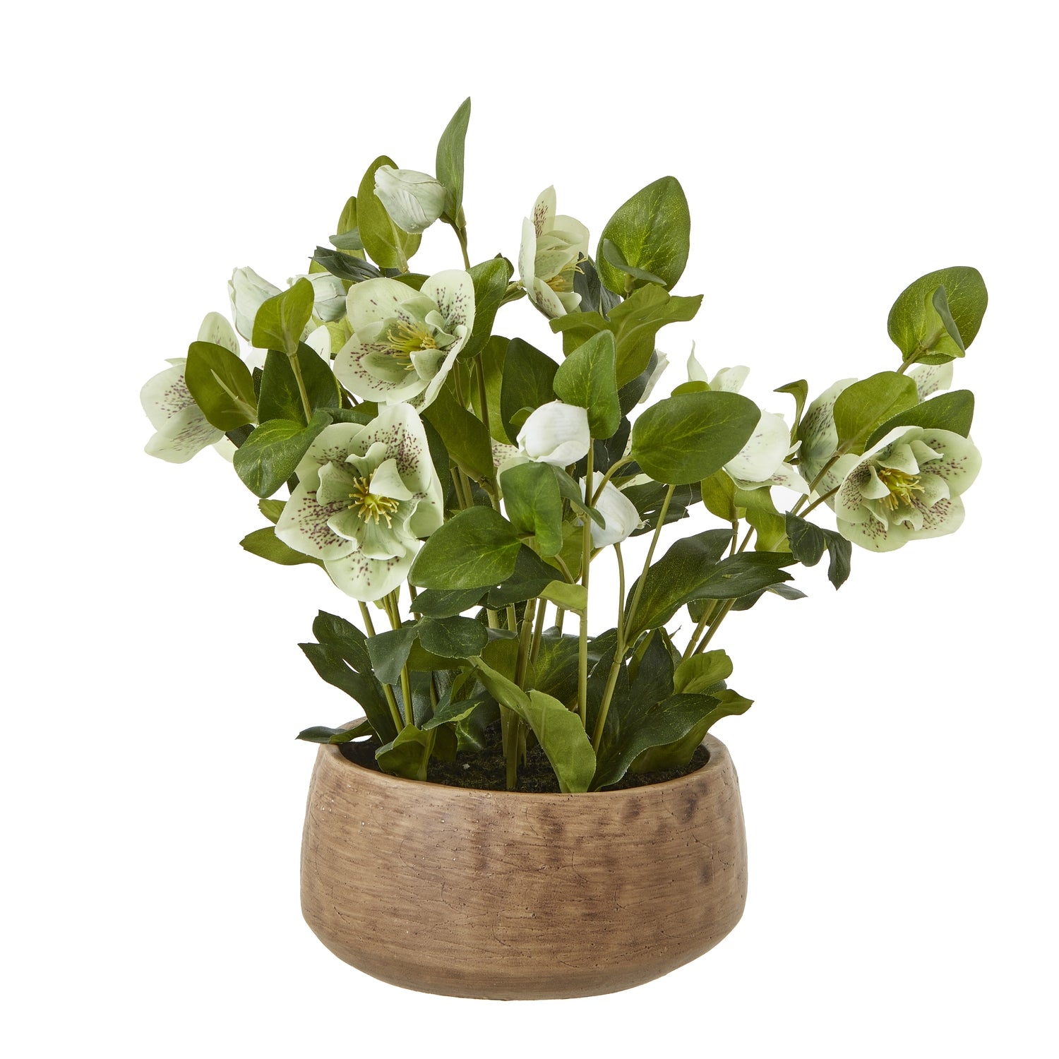 Faux Green Hellebore Plant In Taupe Pot