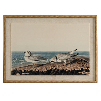 Plovers Linen Wall Art Print in Beaded Wooden Frame