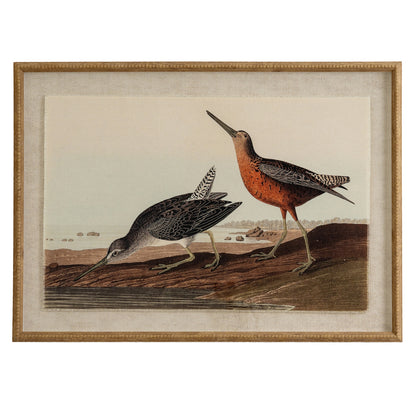 Snipes Linen Wall Art Print in Beaded Wooden Frame