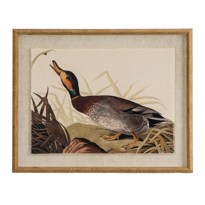 Duck Linen Wall Art Print in Beaded Wooden Frame